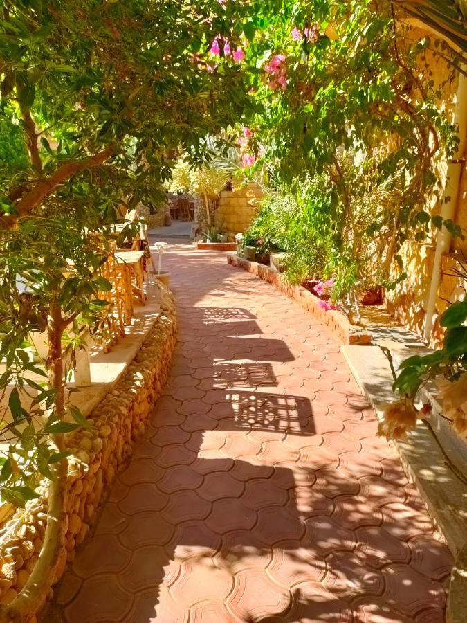 Dream Lodge Siwa Siwa Oasis Exterior foto